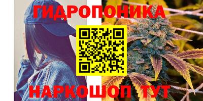 прущие крисы Новодвинск