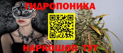 прущие крисы Новодвинск