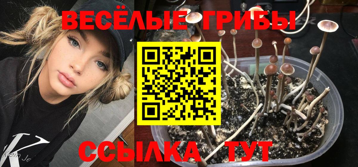 Холмск  Галлюциногенные грибы мухоморы  Вход с VPN  Псилоцибиновые грибы прущие грибы 